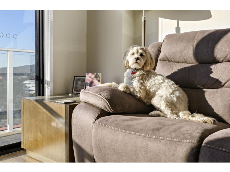 110/311 Anketell Street, Greenway ACT 2900