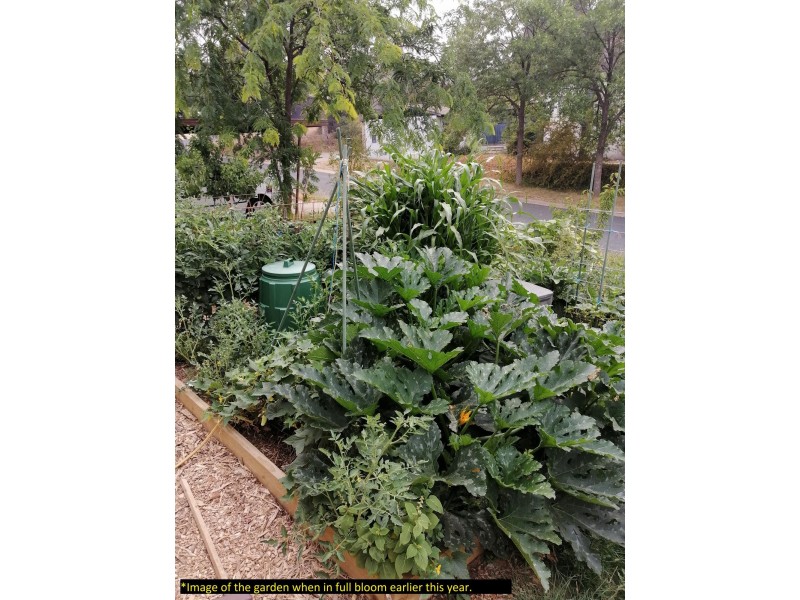 3 Cooney Court, Charnwood ACT 2615