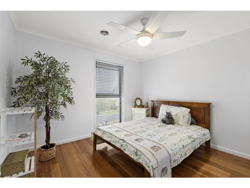 16 Bowden Crescent, Macgregor ACT 2615