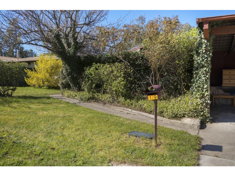 19 Donnison Place, Charnwood ACT 2615