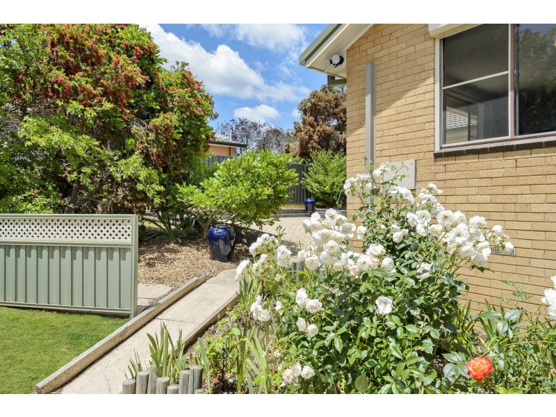 38 Cooney Court, Charnwood ACT 2615