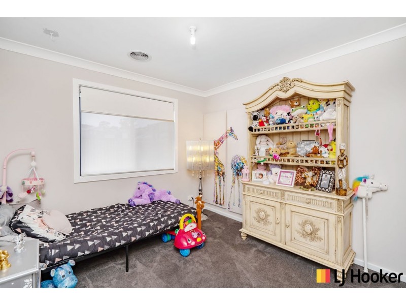 46 Lionel Rose Street, Holt ACT 2615