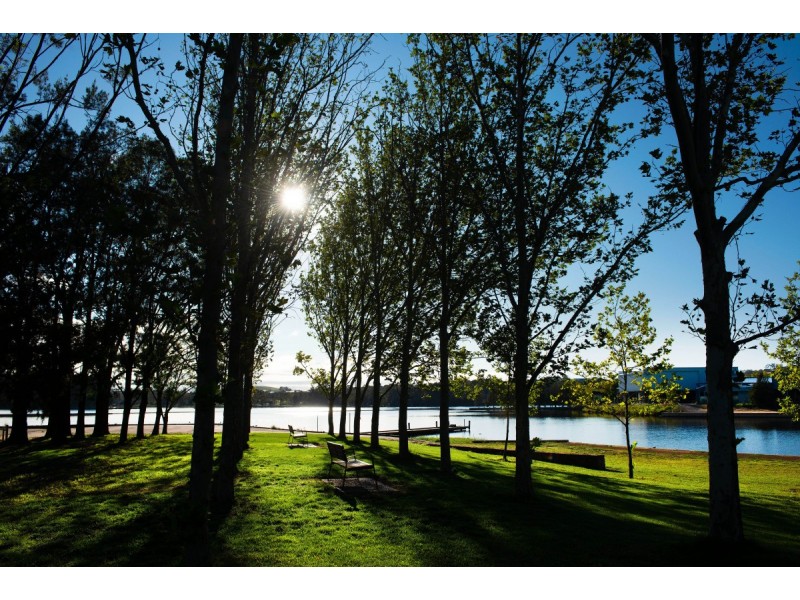 4/20 Beissel Street, Belconnen ACT 2617