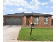 55 Macfarlane Burnet Avenue, Macgregor ACT 2615