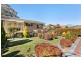 31 Lachlan Street, Macquarie ACT 2614
