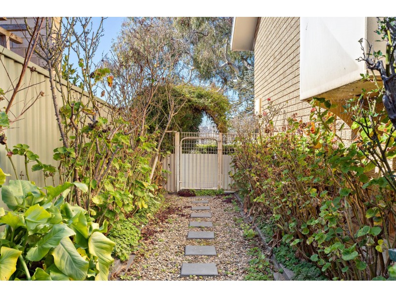31 Lachlan Street, Macquarie ACT 2614