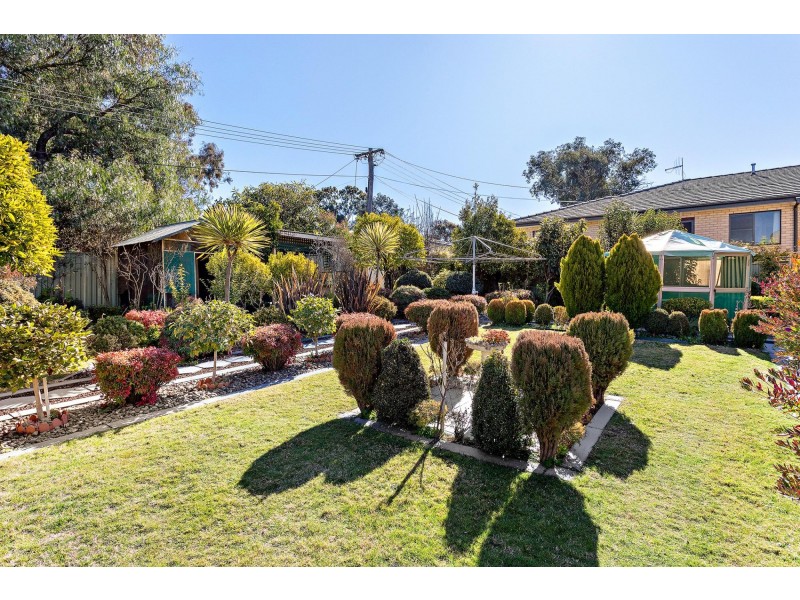 31 Lachlan Street, Macquarie ACT 2614