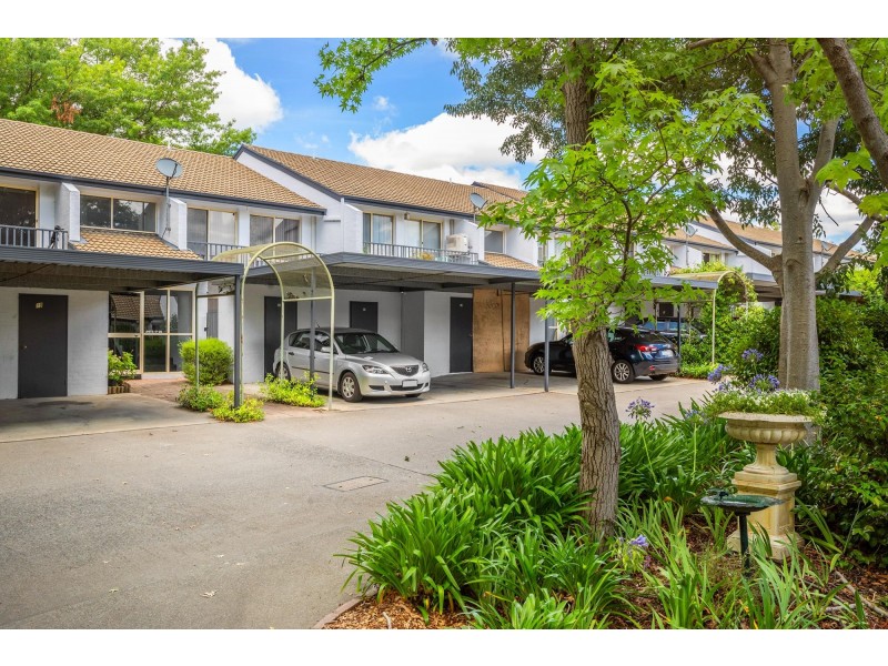 19/6 Antis Street, Phillip ACT 2606