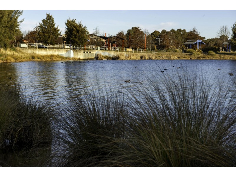 7/52 Jeff Snell Crescent, Dunlop ACT 2615