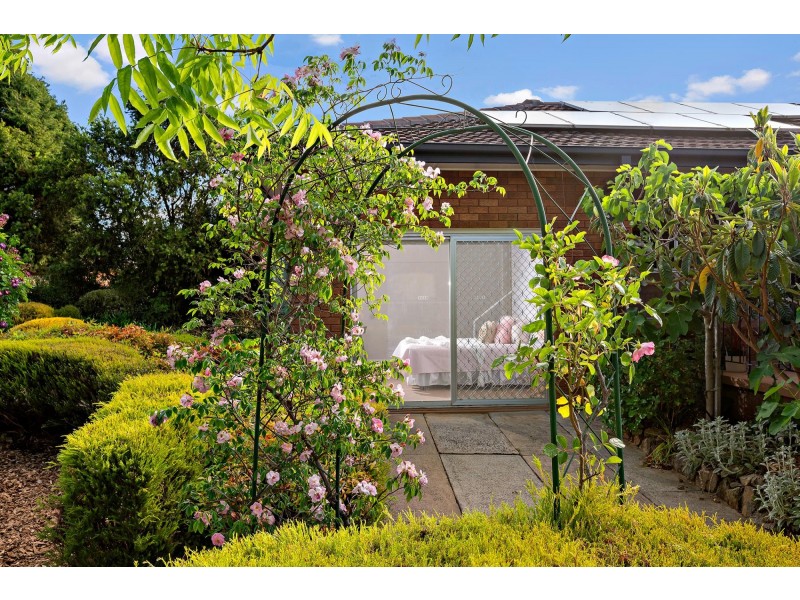 45 Kriewaldt Circuit, Higgins ACT 2615