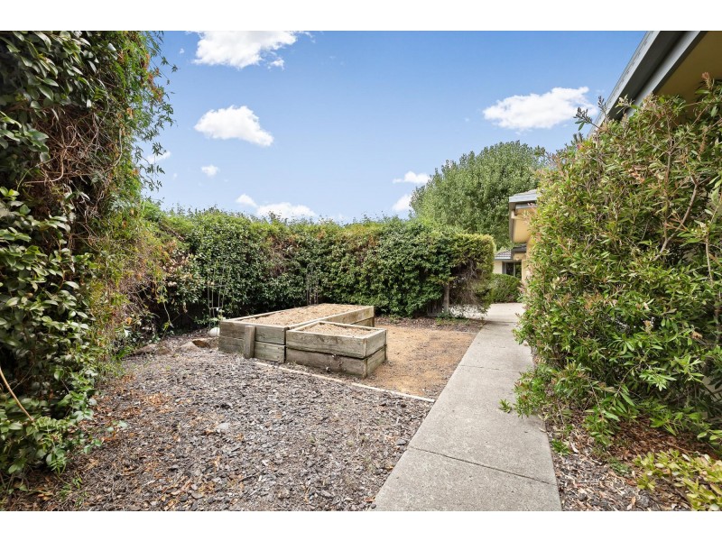 24/131 Britten-Jones Drive, Holt ACT 2615