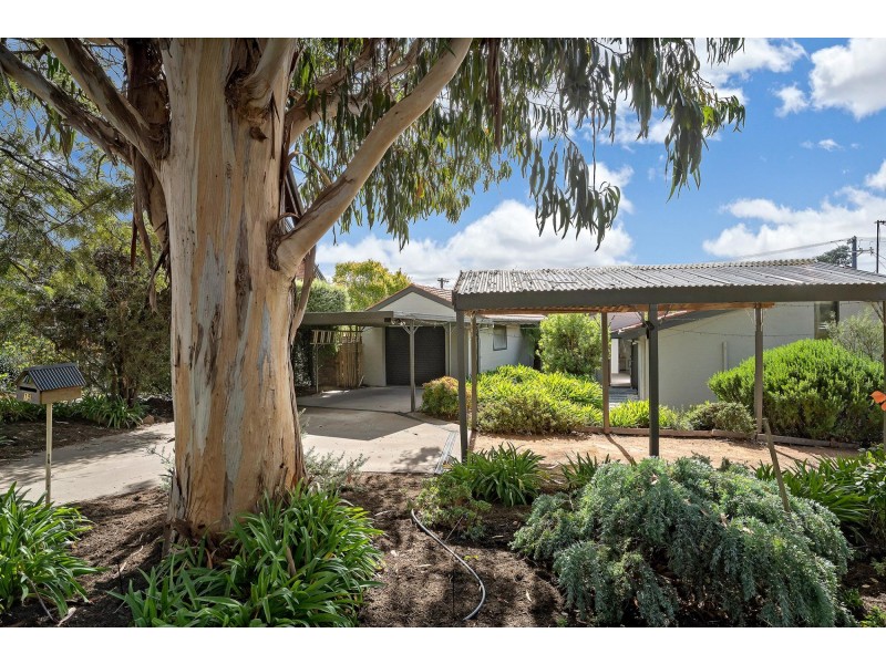 15 Wearing Street, Higgins ACT 2615