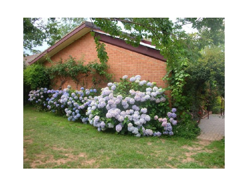 41b O’Sullivan Street, Higgins ACT 2615