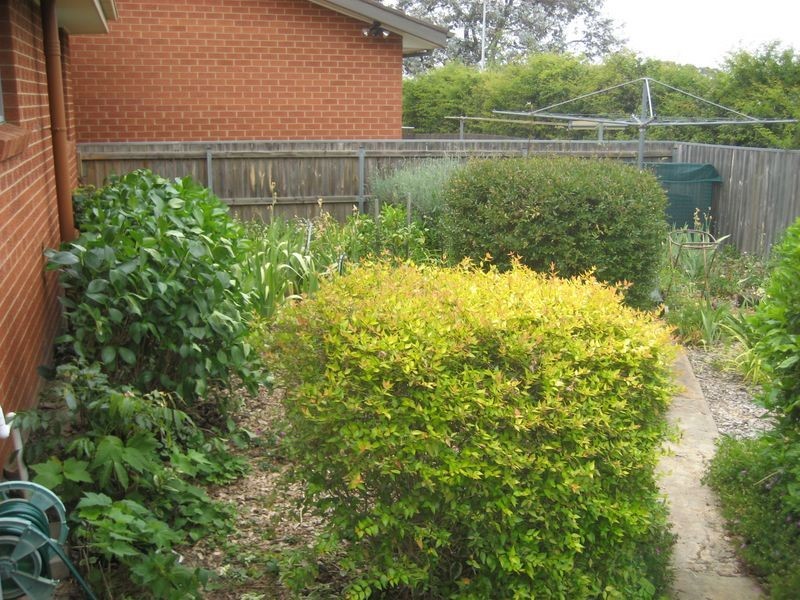 8 Scobie Place, Holt ACT 2615