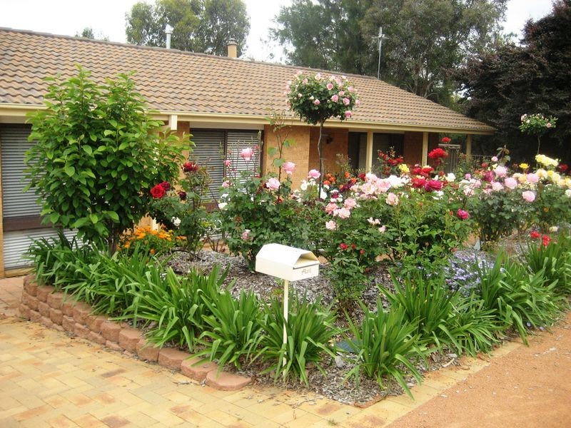 11 Mulvany Place, Latham ACT 2615