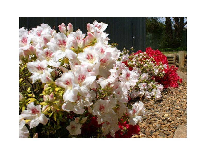 7 Seccombe Place, Macgregor ACT 2615