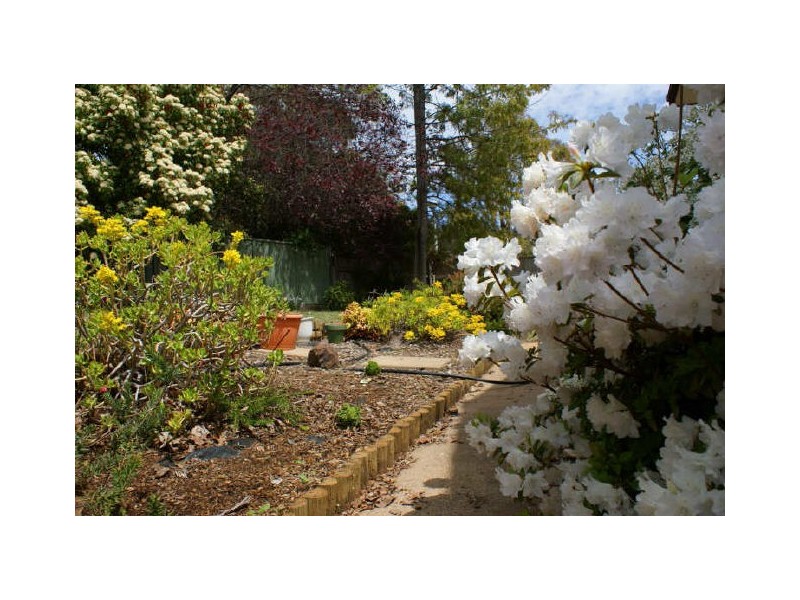 7 Seccombe Place, Macgregor ACT 2615