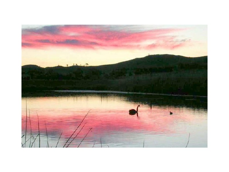 32 Gordon Withnall Crescent, Dunlop ACT 2615