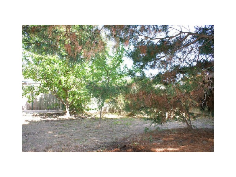 6 Allen Place, Holt ACT 2615