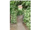 39 McCabe Crescent, Holt ACT 2615