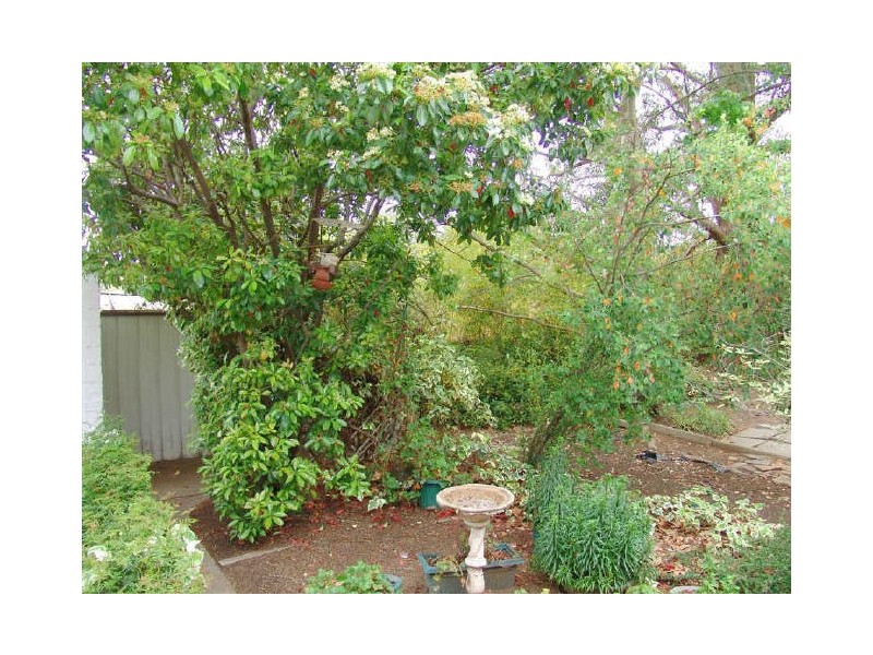39 McCabe Crescent, Holt ACT 2615