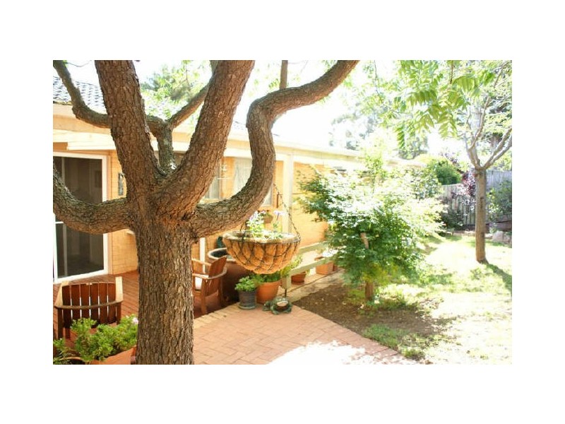 48 Fellows Street, Latham ACT 2615