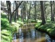 Lot 6 Upper Turon Road, Capertee NSW 2846