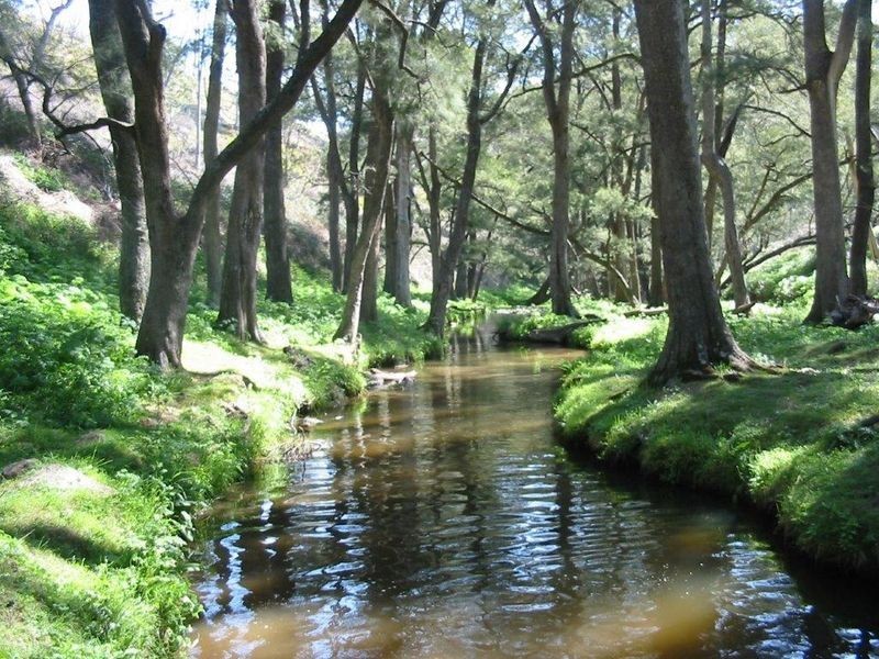 Lot 6 Upper Turon Road, Capertee NSW 2846