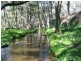 Lot 6 Upper Turon Road, Capertee NSW 2846