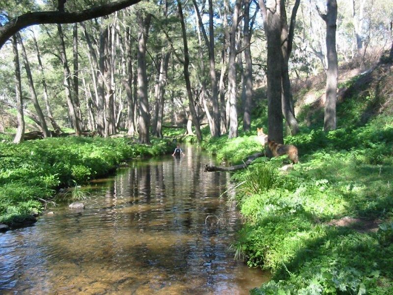Lot 6 Upper Turon Road, Capertee NSW 2846