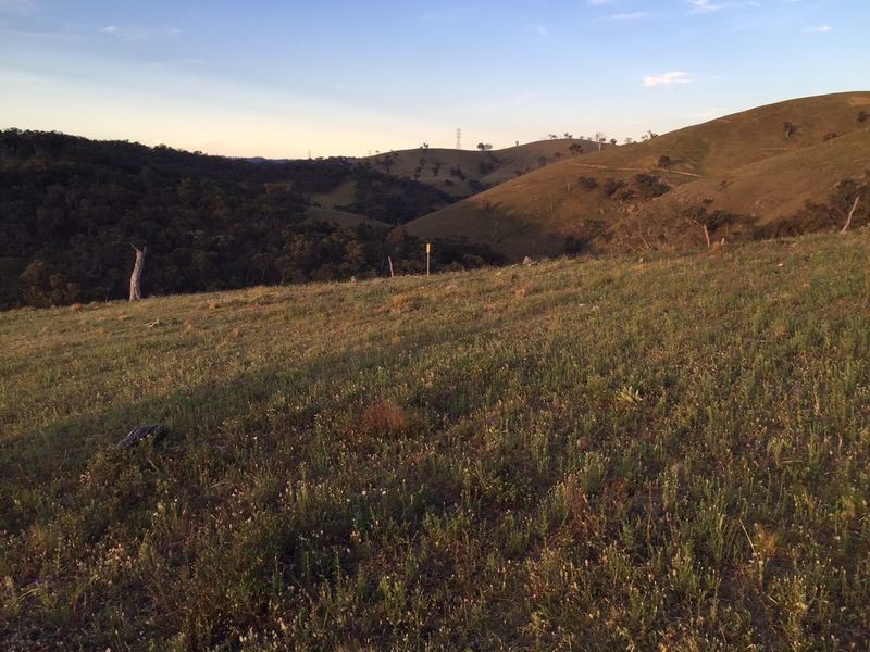 Lot 6 Upper Turon Road, Capertee NSW 2846