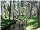 Lot 6 Upper Turon Road, Capertee NSW 2846