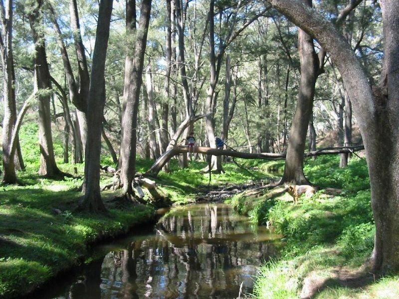 Lot 6 Upper Turon Road, Capertee NSW 2846