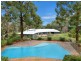 132 Booralie Road, Duffys Forest NSW 2084