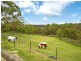 134 Booralie Road, Duffys Forest NSW 2084