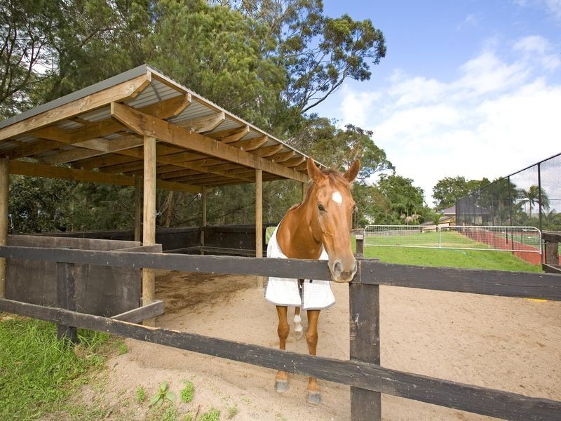 134 Booralie Road, Duffys Forest NSW 2084