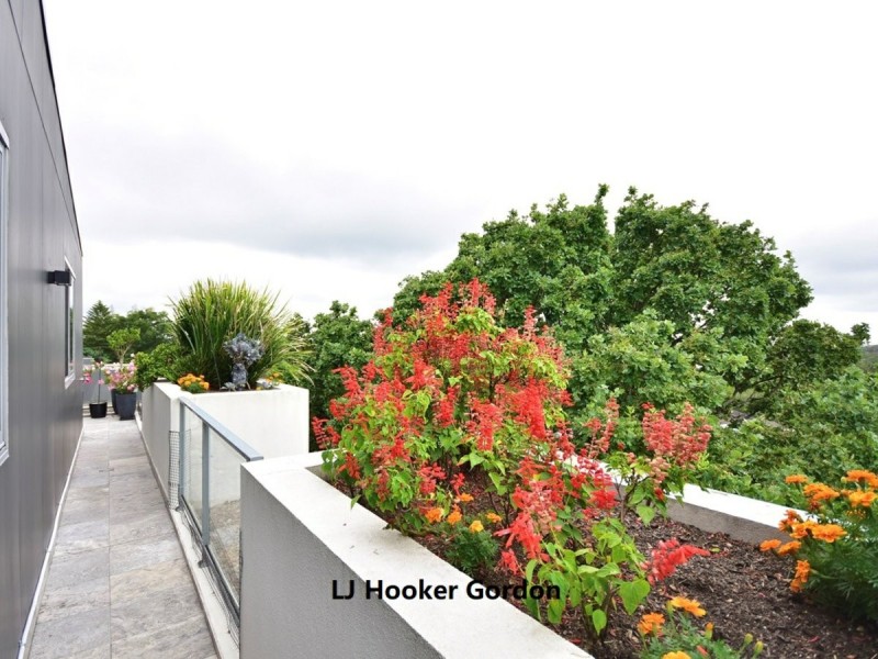 2405/177 Mona Vale Road, St Ives NSW 2075