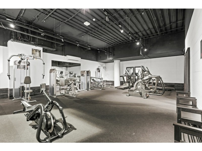 213/17 Albert Ave, Chatswood NSW 2067