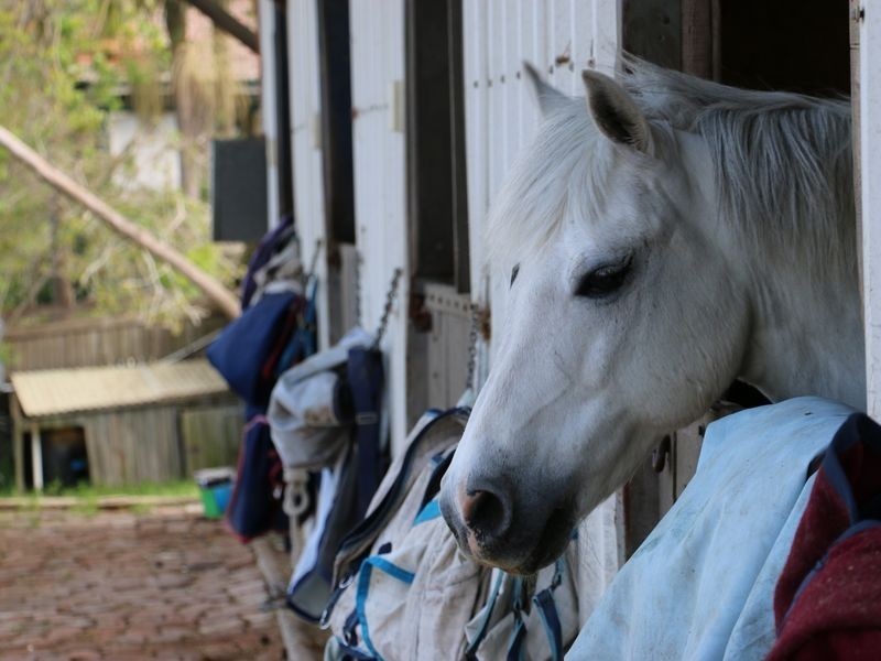 58 Cooyong Road, Terrey Hills NSW 2084