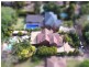 5 Maples Ave, Killara NSW 2071