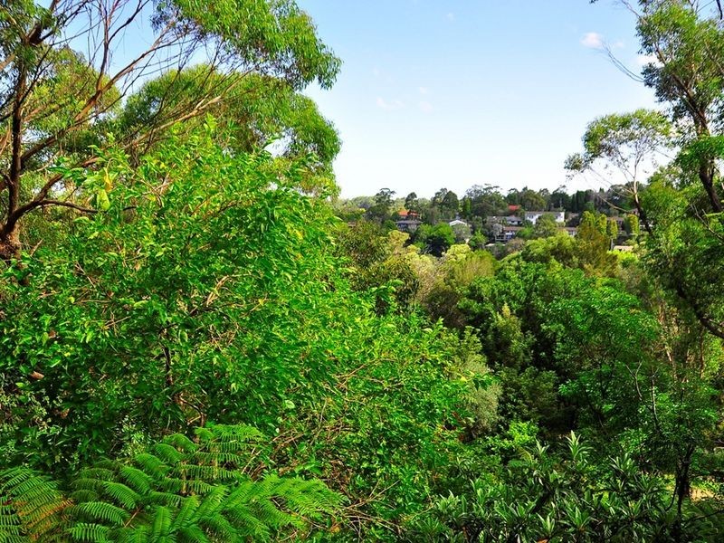 45 Hunter Avenue, St Ives NSW 2075