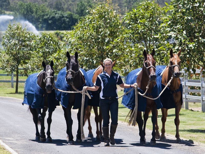 Cornwallis Road, Cornwallis NSW 2756