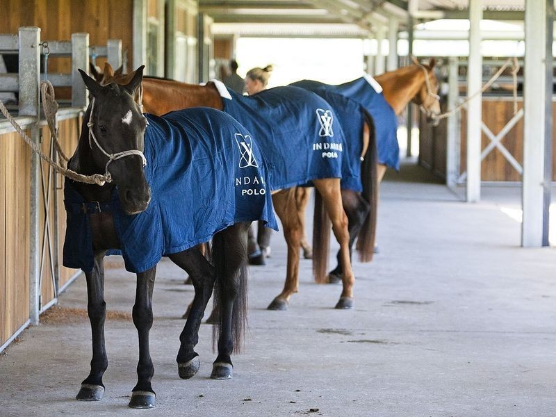 Cornwallis Road, Cornwallis NSW 2756