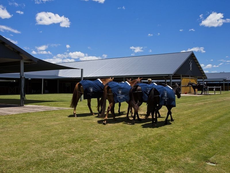 Cornwallis Road, Cornwallis NSW 2756