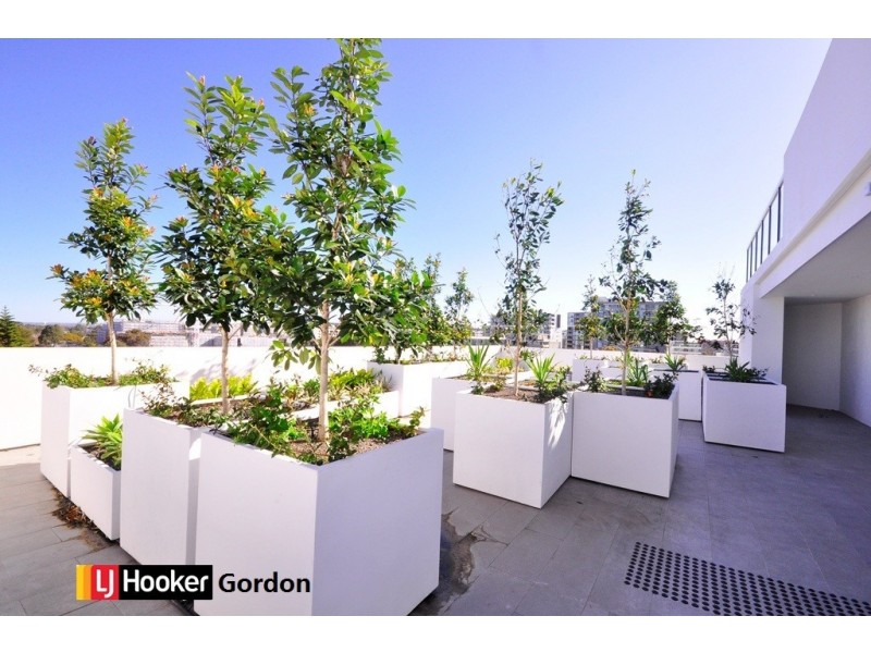 204/581 Gardeners Road, Mascot NSW 2020