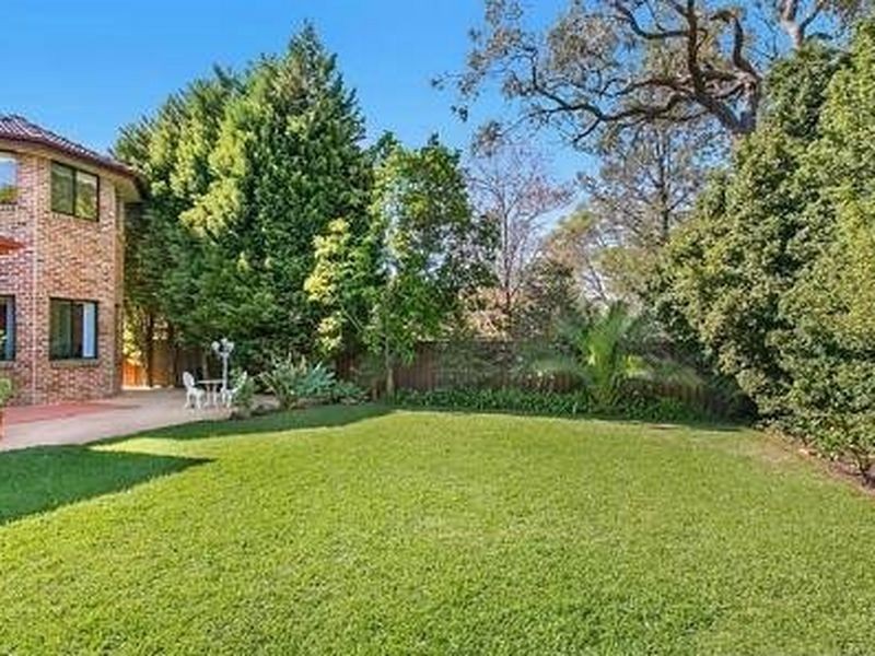 31 Addison Avenue, Roseville NSW 2069