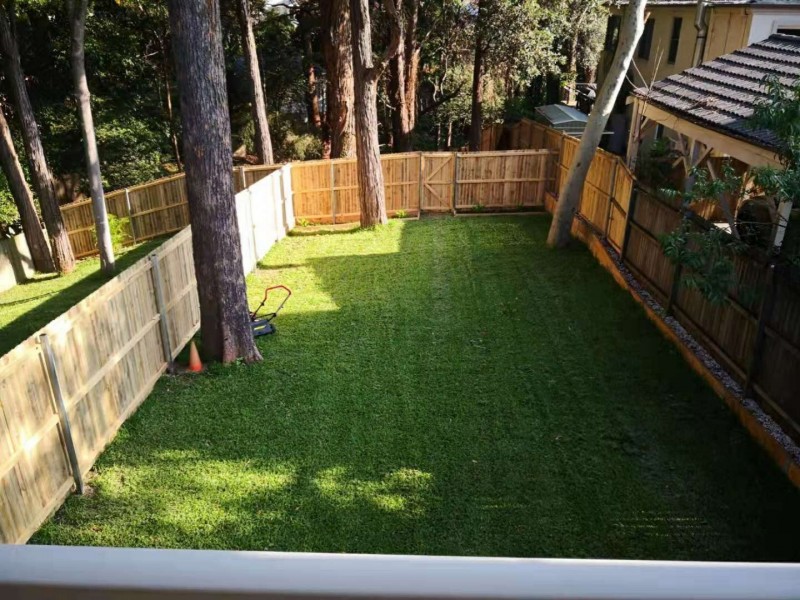 42a Eddy Road, Chatswood NSW 2067