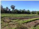 249 Second Ave, Marsden QLD 4132