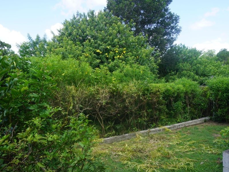 119 North Road, Woodridge QLD 4114