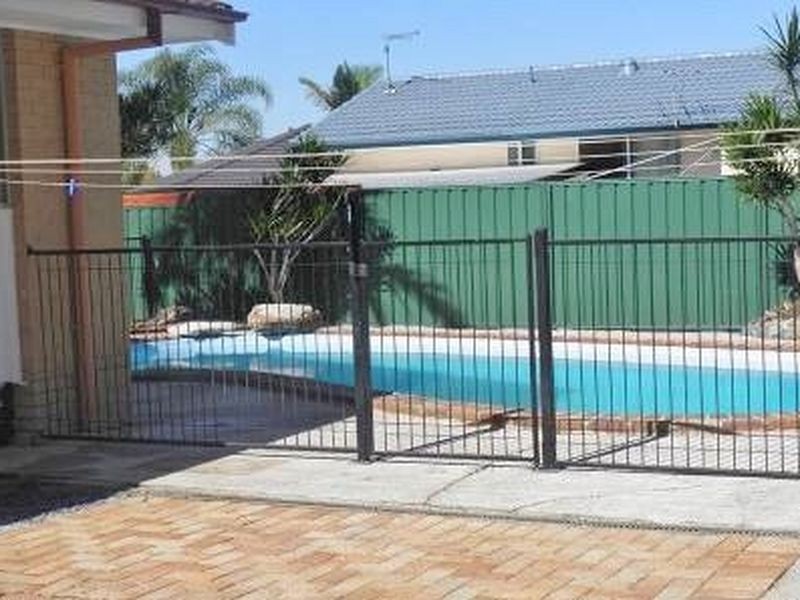 11 Bellis Street, Daisy Hill QLD 4127